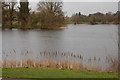 The lake, Lurgan Park