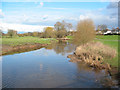 River Weaver on the north of Nantwich