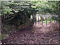 Abandoned Cattle Feeding Station