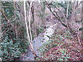 Brook below Allt-y-bela