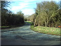 The Road to Spring Well Farm