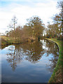 Reflections in the Shropshire Union