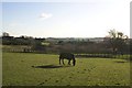 Lowick Village from the Churchyard