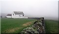 Whitewashed  (Raby Estates Barn) : Gibbsneese