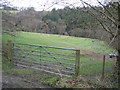 Field Gate and Coed Cochion