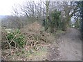 Track from Pen-y-mynydd