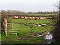 SZ3898 : Farmland east of Thorns Corner, Beaulieu Estate by Jim Champion
