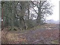 Quarry or marl pit, Cromwellpark