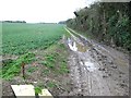 Muddy track heading SW near Hill Farm