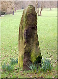 SE2837 : Menhir by Alison Covey