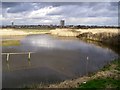 View from birdwatching hide, Lower Test nature reserve