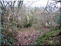 Ancient Track below Bryn Golau