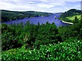 Lake Vyrnwy (Llyn Efyrnwy)