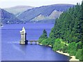 SJ0120 : Tower on Lake Vyrnwy (Llyn Efyrnwy) by Simon Johnston