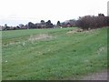 View across fields to St Margaret