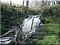 Falls at Pont Aber