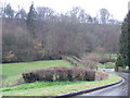 Lawless Cross Coppice and Bridge