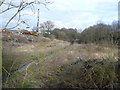 Danesmoor - Pit Lane view of River Rother