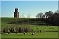 Horton Tower & spring lambs