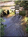 Millpond and sluice, Slip Mill, near Hawkhurst