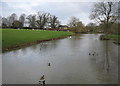 The Mill Pond, Horningsham