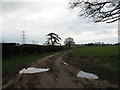 Lane and pylons at Ravensdale Farm