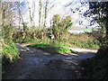 Muddy road near Waytown