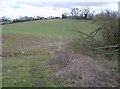 Footpath near Trench Green