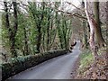 Sutcliffe Wood Lane, Hove Edge