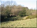 A Spring on the Clwydian Way