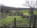 Woodhill Townland