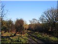 Bridleway to Graianrhyd