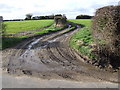 Farm Track, Hapton