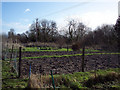 Allotments at Broad Chalke