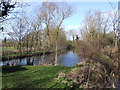 Carleton Fen Lake