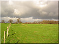 Pasture west of Wistaston