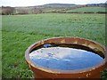 View to Hernhill and the Blean