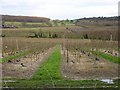 East from Hernhill churchyard