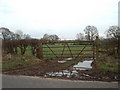 Muddy gateway