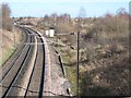 East Coast Main Line and Low Newton Junction Nature Reserve