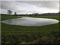SJ4817 : Puddle or Pond? by Michael Patterson