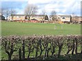 Cambridge Drive and football pitch, Great Lumley