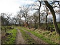 Track, Purves Hall