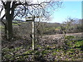 Geer Lane - Signpost