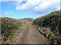 Geer Lane - Bridleway