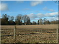 Ploughed field in early March