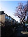 Houses facing Broadlands school