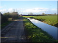 ST3683 : Drainage Ditch by Chapel Road, Goldcliff by Ruth Sharville