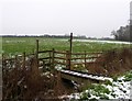 TL1776 : Footbridge, stile and fields by Andrew Tatlow