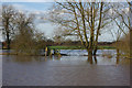 Flooding at Ratcliffe Culey